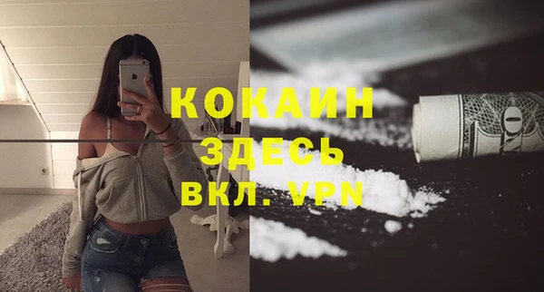 дживик Абинск