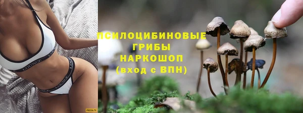 дживик Абинск