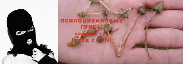 дживик Абинск