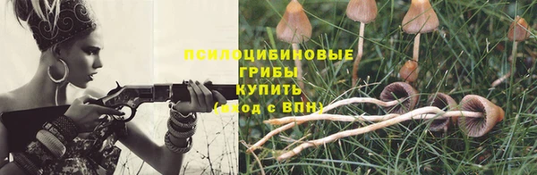 дживик Абинск