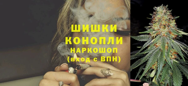 крисы Абдулино